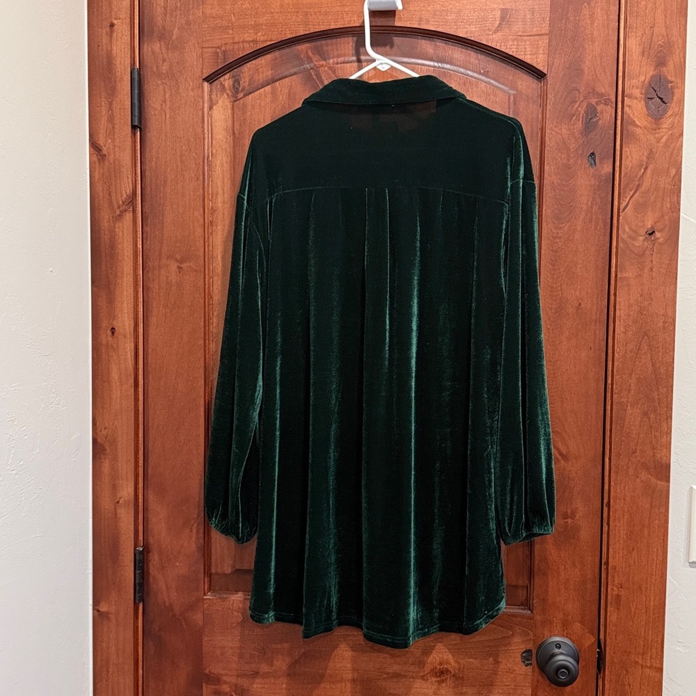 Dark Green Velvet Button-Up Shirt - Picture 3 of 6